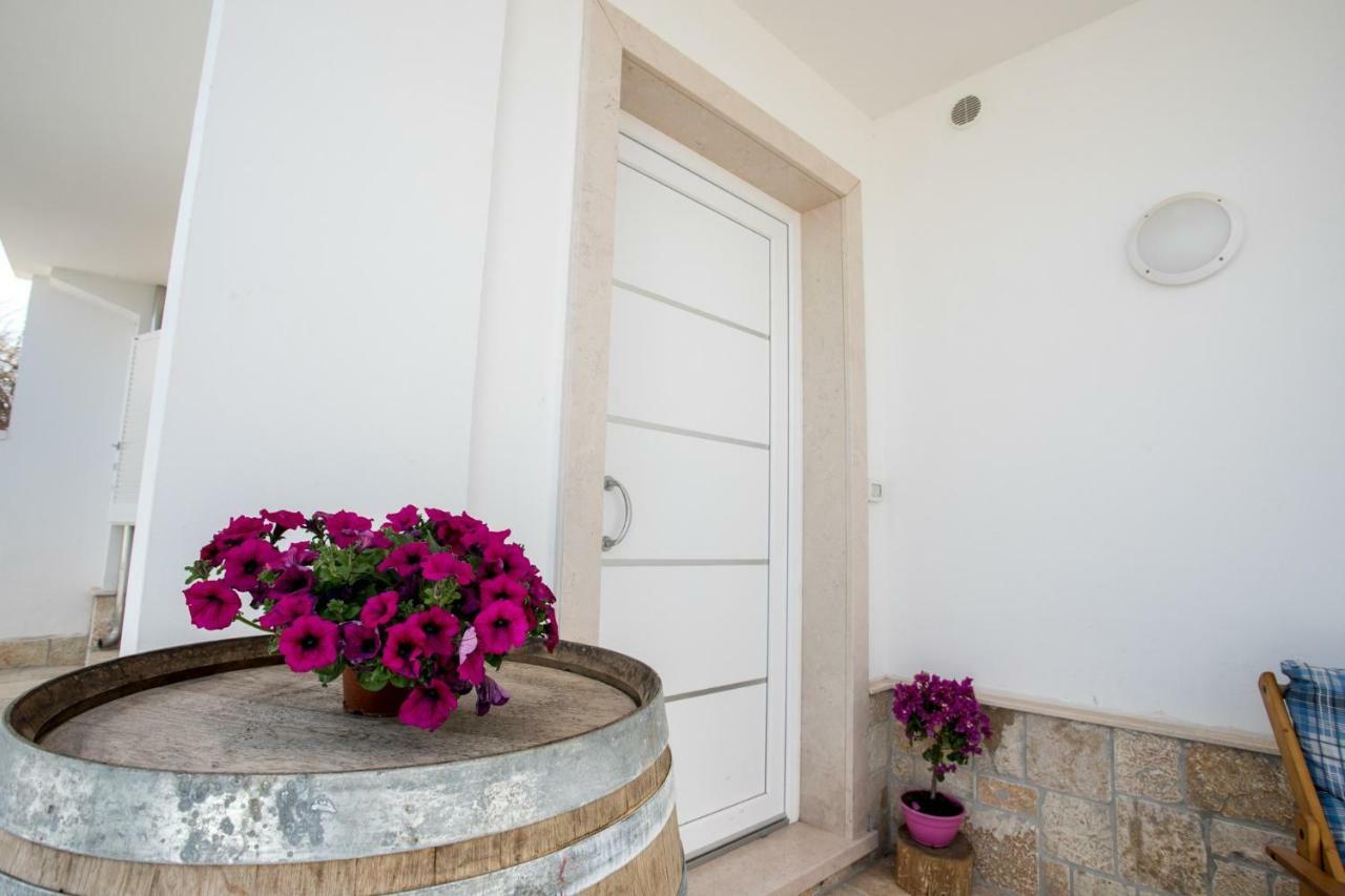 Villa Fenix Torre Lapillo Esterno foto